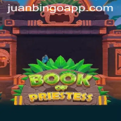 Exploring Book of Priestess Game
